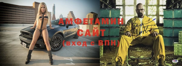 молекула духа Белокуриха